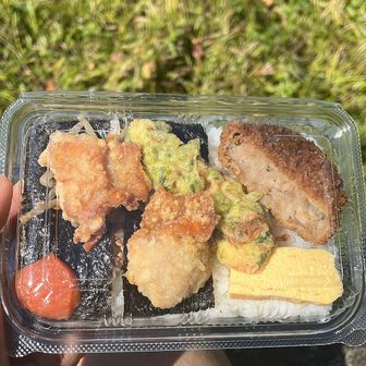 休憩できそうな山じゃないので降りて来たところでお昼にします