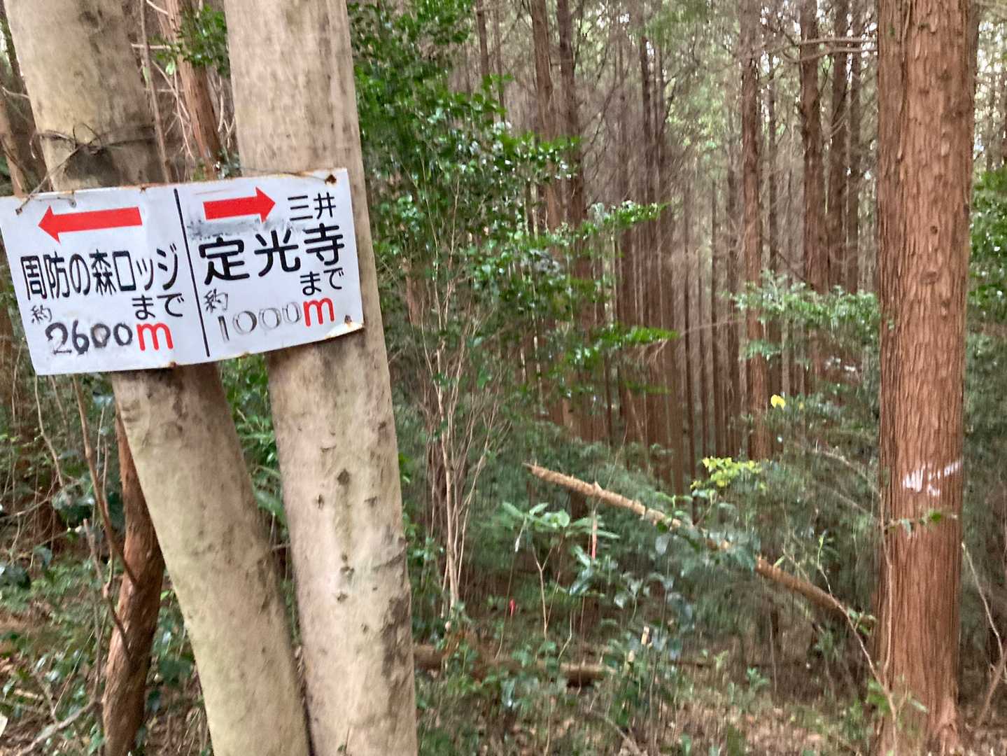 定光寺コースと合流