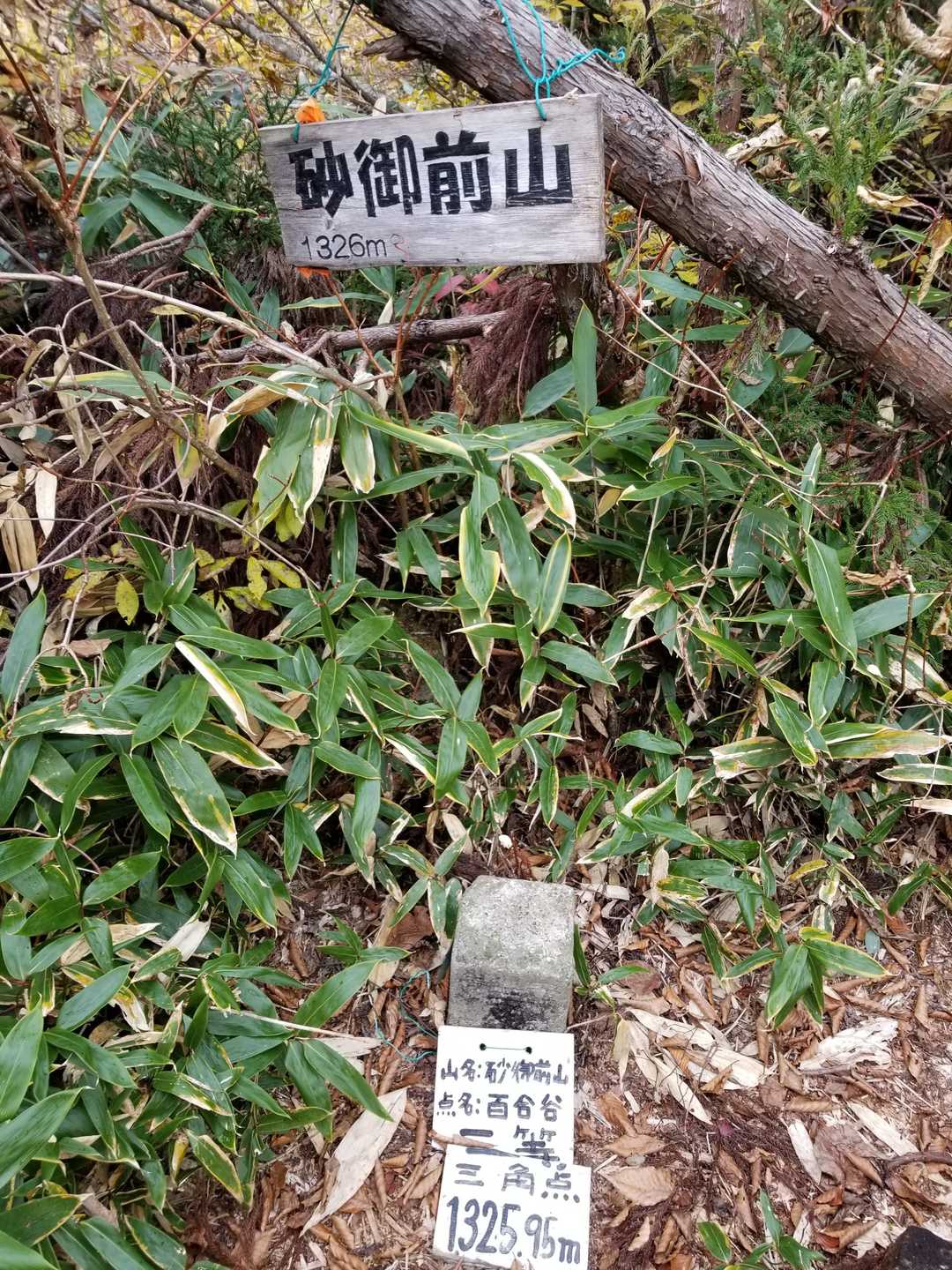 パラパラと雨
