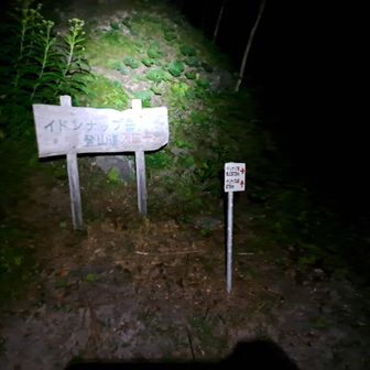 2時前には登山道入口着
誰か来ないかなと待ってみる…ちょっと震える((😖))…来ないよね…
ならば行くしかない!!
ヘッデン2つ点けて出発🔦🔦