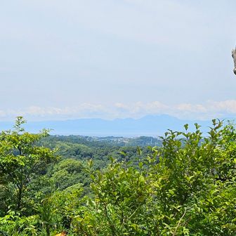 うっすらと箱根の山々が見えた⛰️