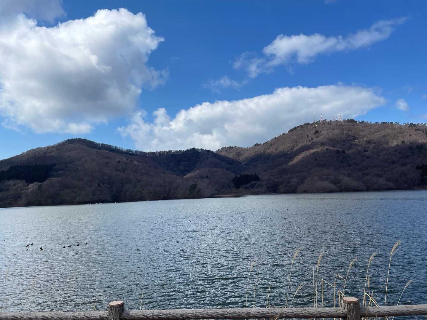 八森山と高館山