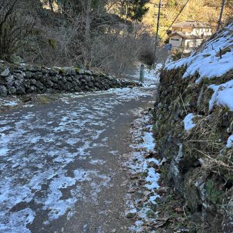 舗装された道の方が雪が溶けないんだな！