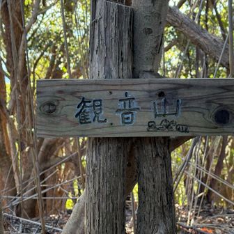 観音山山頂は特に展望なし