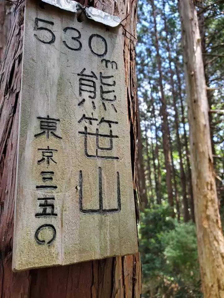 熊笹山の写真