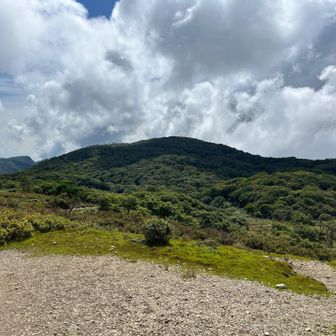 御池岳の山頂