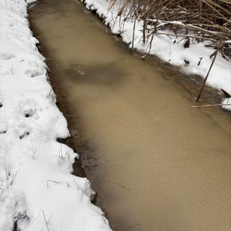 凍りかけている水たまり