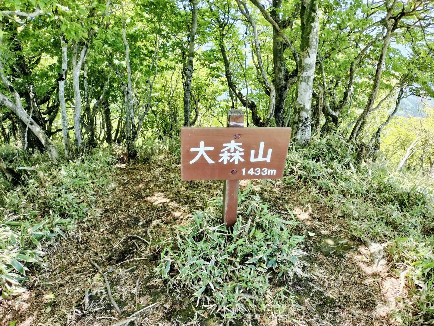 きれいになった標識はお初😊