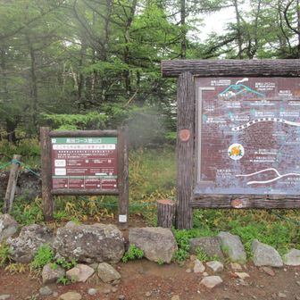 登山口案内板
先月、5月22日に3年ぶりに火山レベルが1になり、前掛山までの登山が可能となりました。