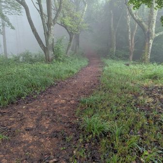 この先20分で太郎山山頂ですが、このガスなので眺望無しはつまんなすぎなので、やめときます🤪