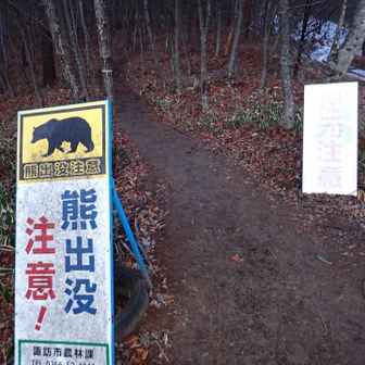 熊さん、冬眠していてくださいね。