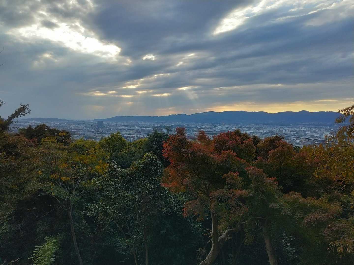 伏見稲荷大社-熊鷹社-稲荷山 周回コースの写真