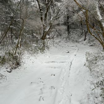 歩き難い！
ここは両端のコンクリートが分かるので良いのですが、中は浮石だらけ、雪で見えない。