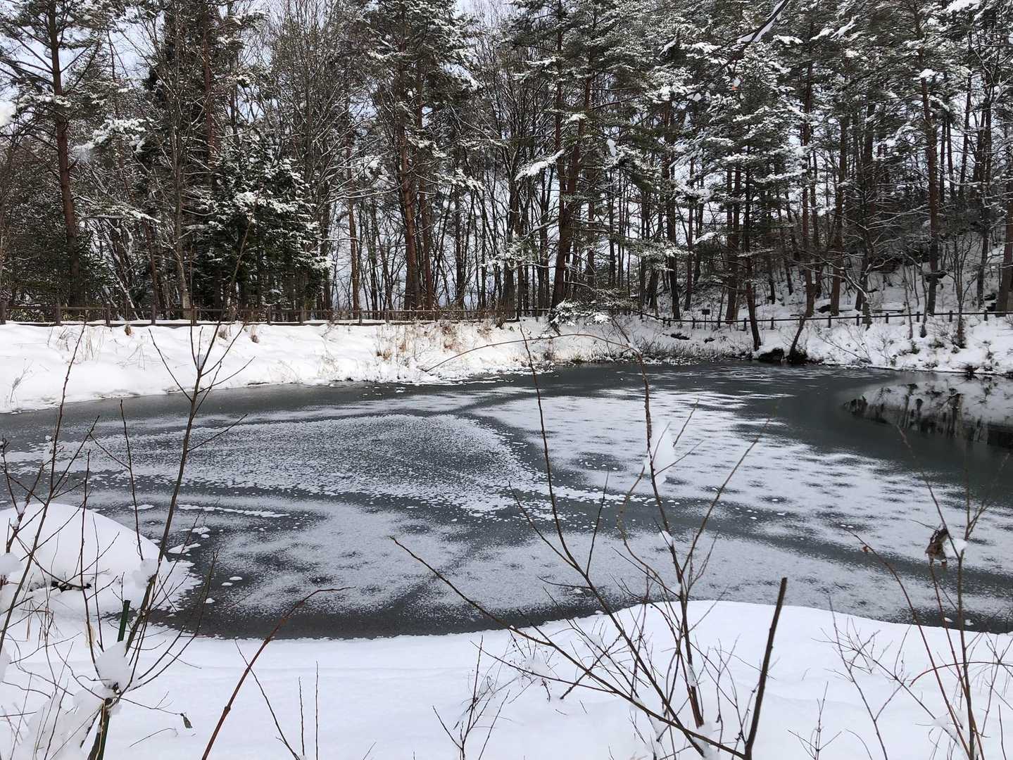 表面がうっすら白いため池