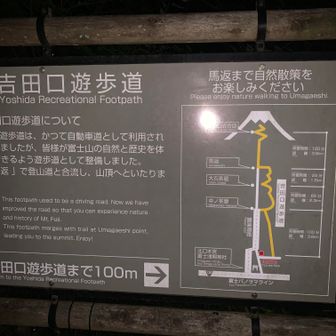 馬返しまで舗装路を歩けますが、せっかくなので遊歩道へ
