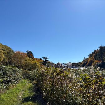 後生掛温泉が見えるとホッとします。