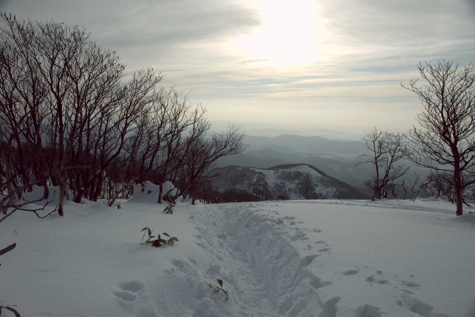 雪が一杯。