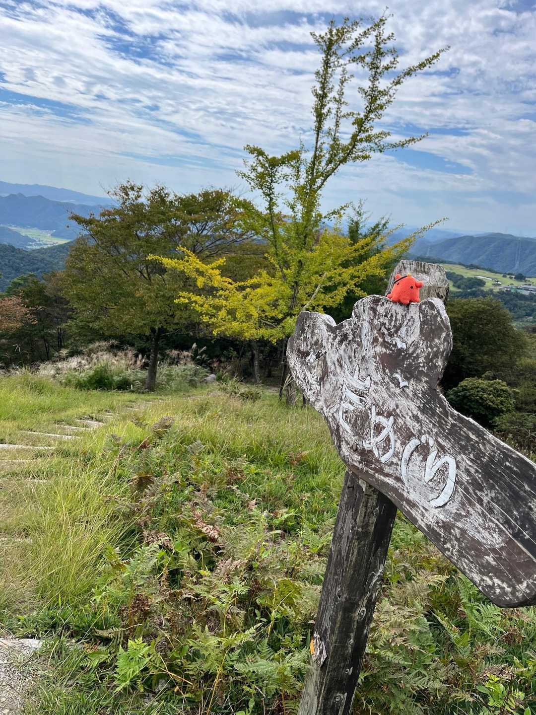 振り返って写真