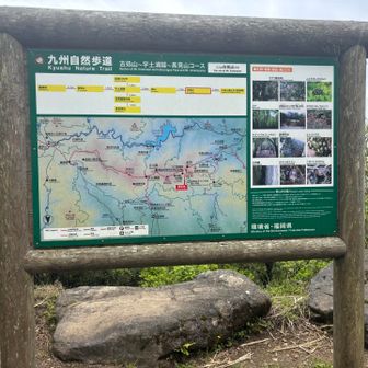 えっ、オオキツネノカミソリが有るの？