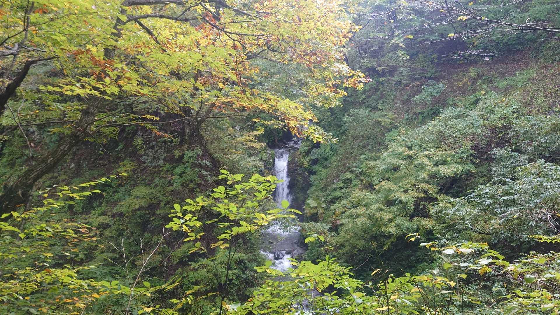 途中に滝があった。さすが水神を祀ってあるだけあって水量豊富