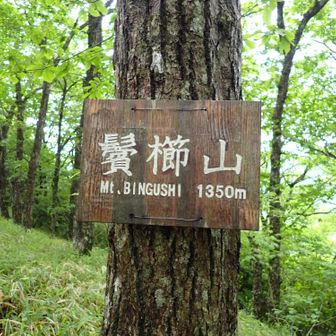 鬢櫛山山頂　1350m
