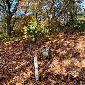 絶景を楽しみながら頂上に〜