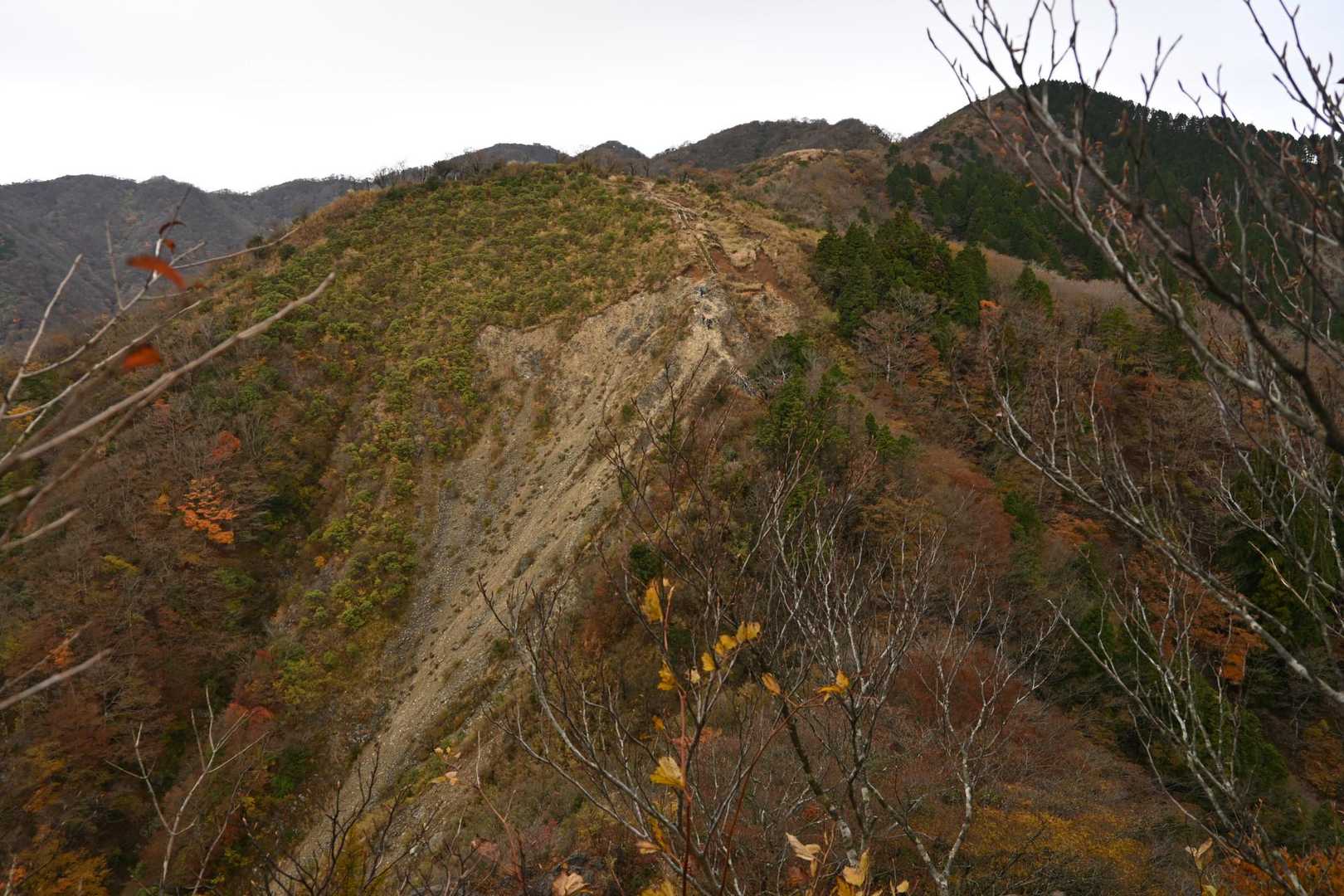 菩提峠-表尾根-塔ノ岳 往復コースの写真