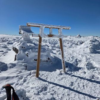 ⛩️これからエビの尻尾が育っていくのでしょうね。