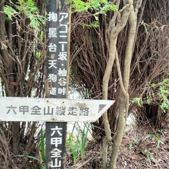 掬星台から少し足を伸ばして穂高湖〜シェール槍まで行こう😁
