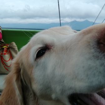 パパ@lotta good day