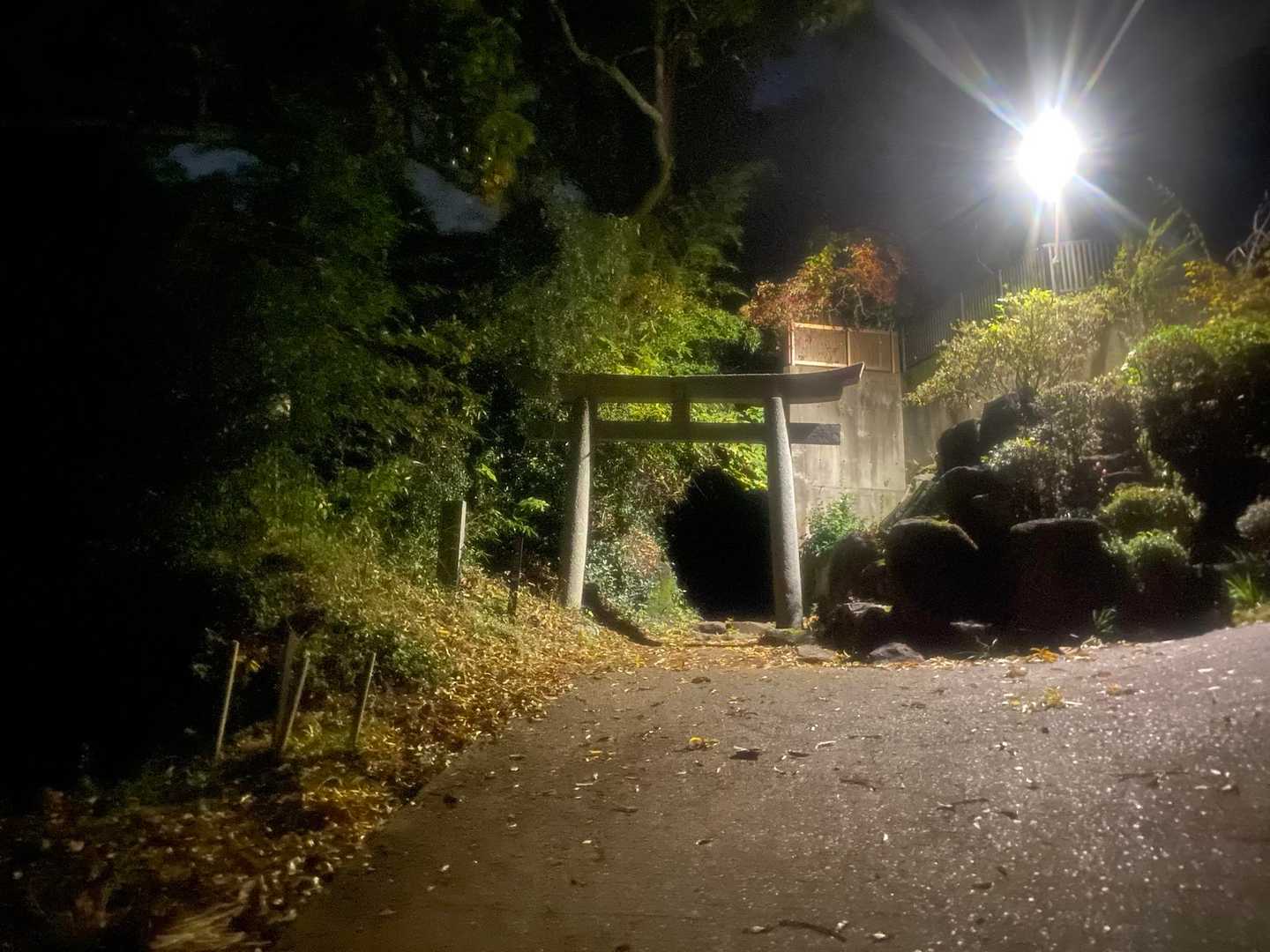 口を開けて待っている⛩️👻

ほ〜らほら
奥で手招きしてる👋