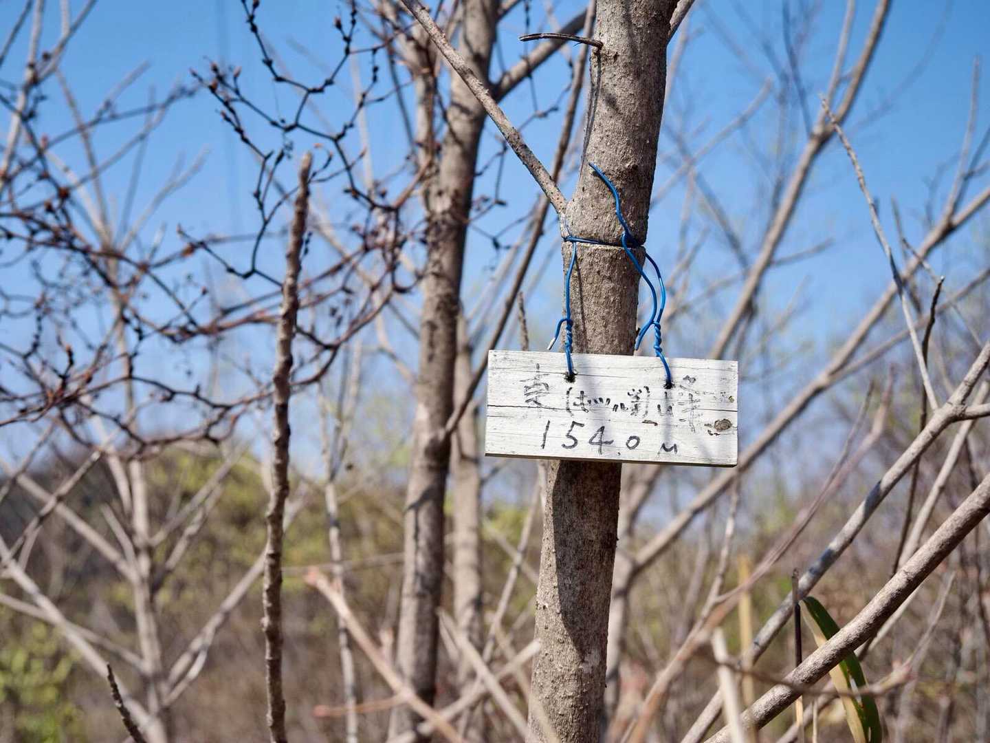 ここが屯鶴峯東峰