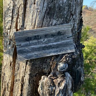 一体仙人は何人いるのか