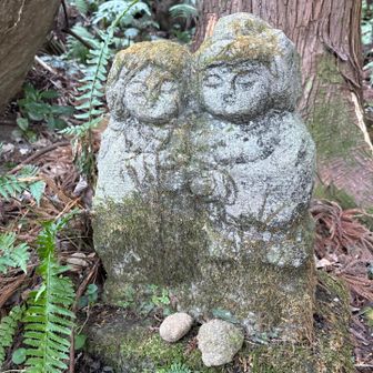 ホッとする👩🏻‍❤️‍👨🏻
仲睦まじいのでカバー写真に採用💕