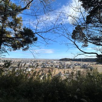 東屋からの眺め