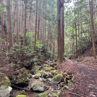 スタート▶️
静かな山歩きが楽しめます🎶