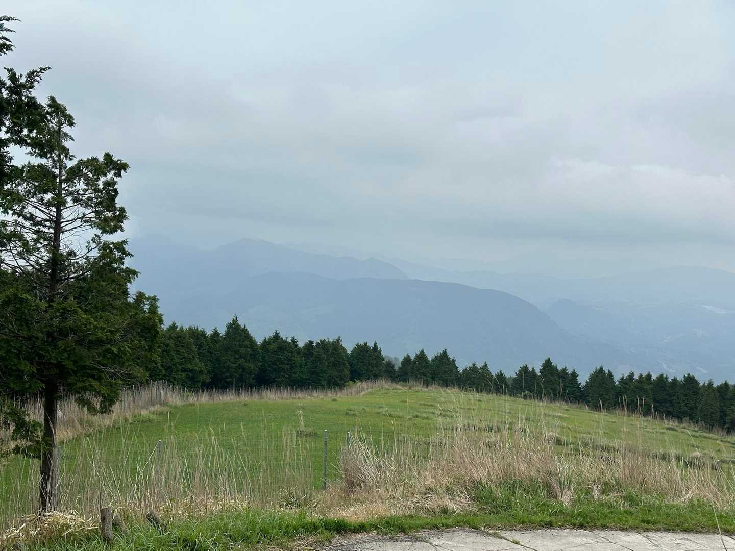 あちらが伐株山⛰️かな