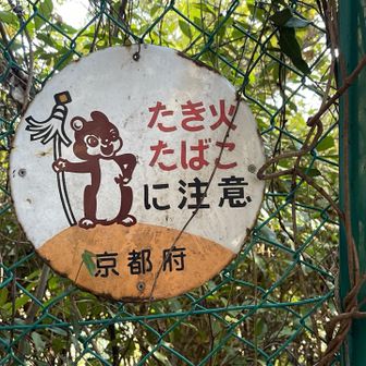 京都のまといリス🐿️
昨日は、神奈川の丹沢山から下山に使った時の山小屋🛖から延焼する山火事🔥が発生したみたいだし、山梨の山はまだ鎮火してないみたい….早くおさまってほしい🙏