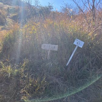 登山道の始まり