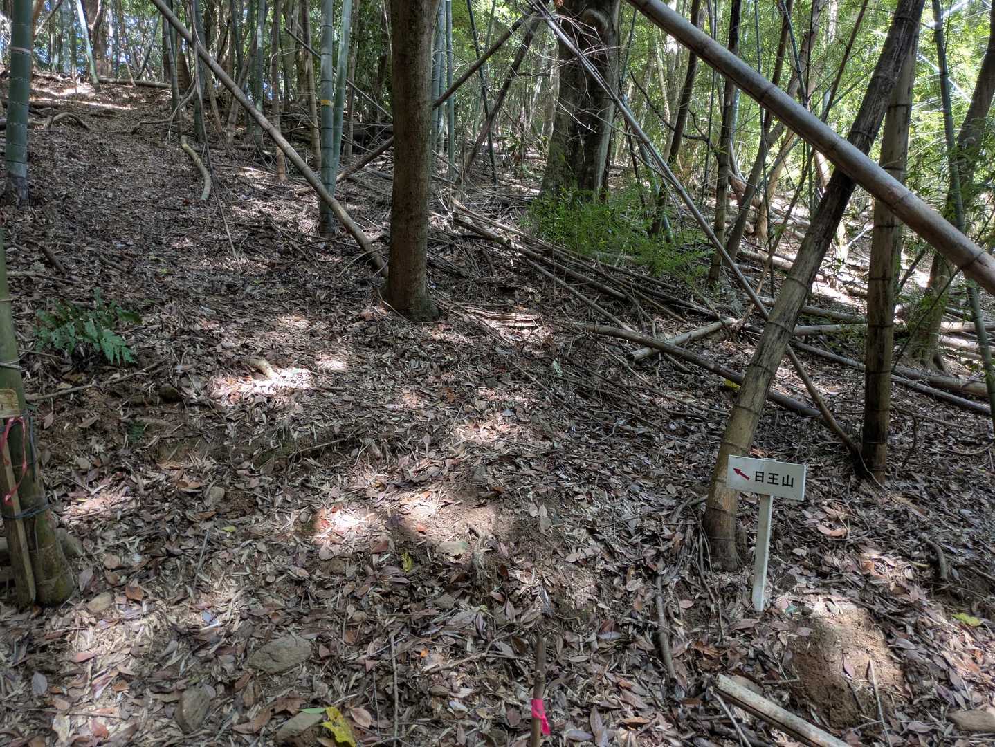 鞍部から再び登りへ