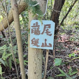6座目