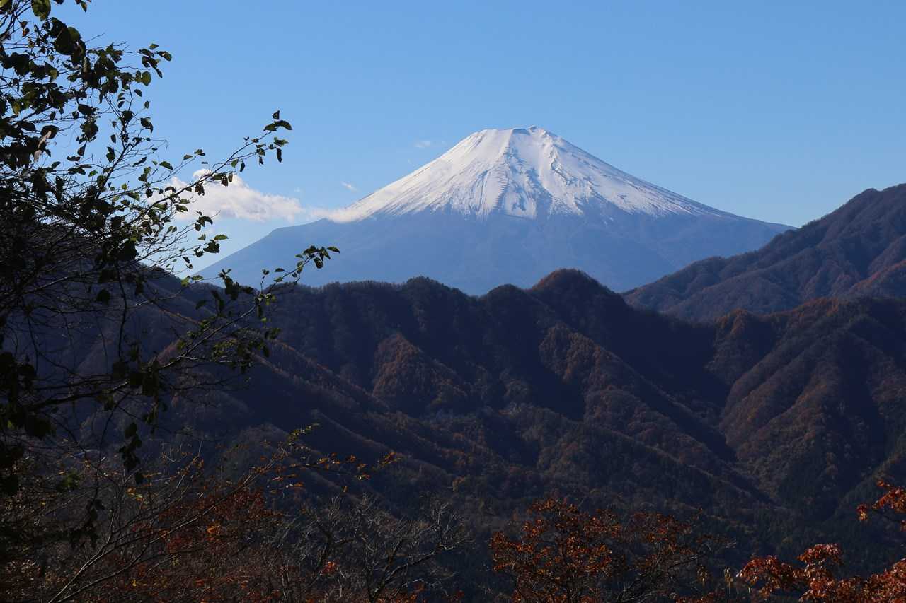 富士山が見えます