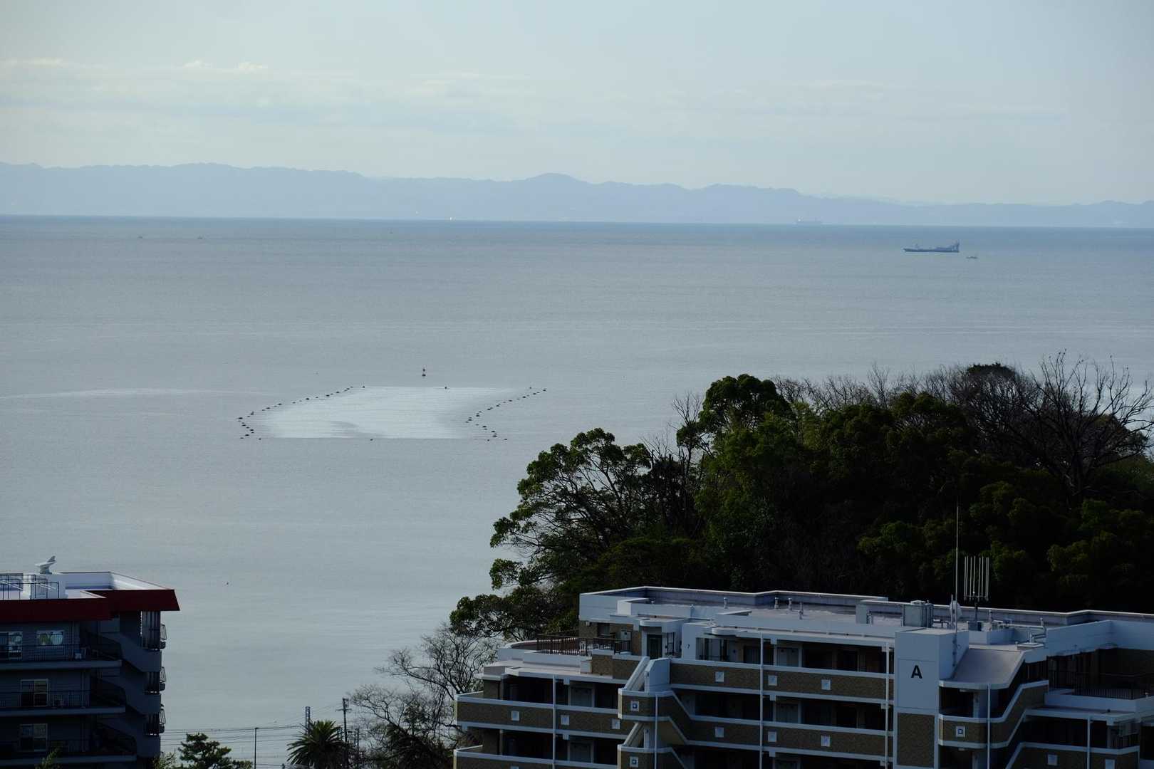 せっかく登ってきたのにという感じですが、景色に癒やされます。