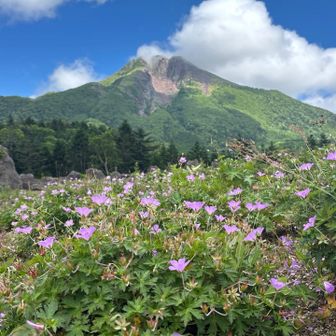 これ今日イチ☝︎
残念ながらコマクサではなく、ハクサンフウロと白根山が良かった✨