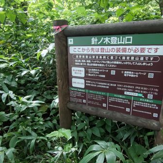 無事下山
