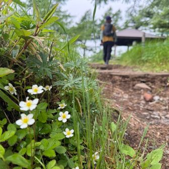かわいいお花の咲くスタートです😊