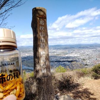 柿の種でエネルギー補充