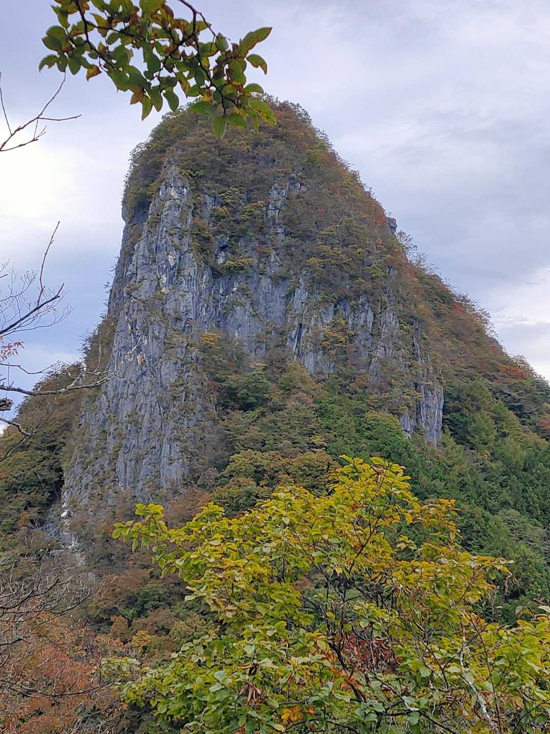 坂本バス停-二子山登山口-股峠-二子山東岳 往復コースの写真