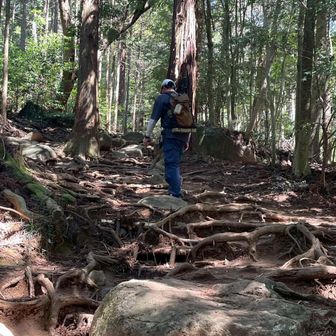 KM／hike