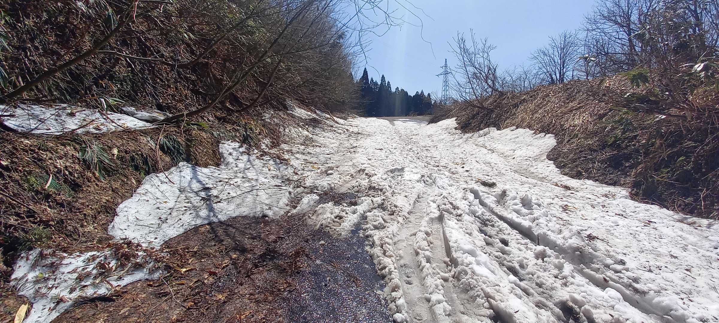 ほんの３０m。登山口寸前で雪止まり。
明日には登れそう。
